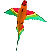 Foto von Kinderdrachen Parrot 3D Einleiner